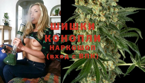 сатива Абдулино