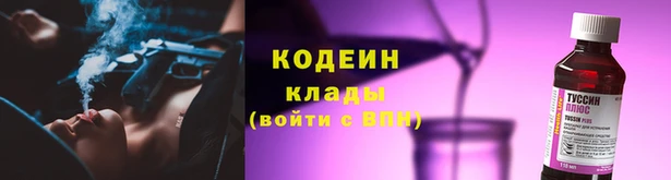 бошки Абаза