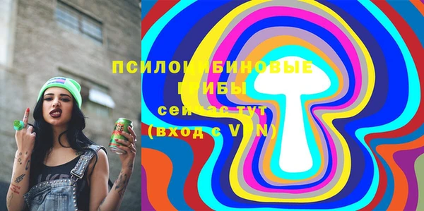 шишки Новозыбков